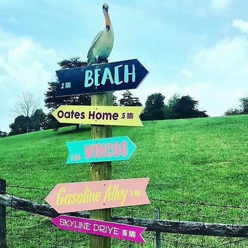 unique signs
